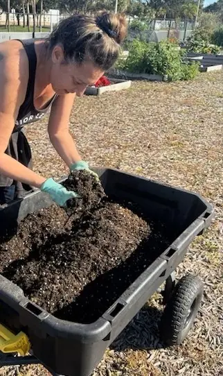 Hands working soil and seedlings in the garden