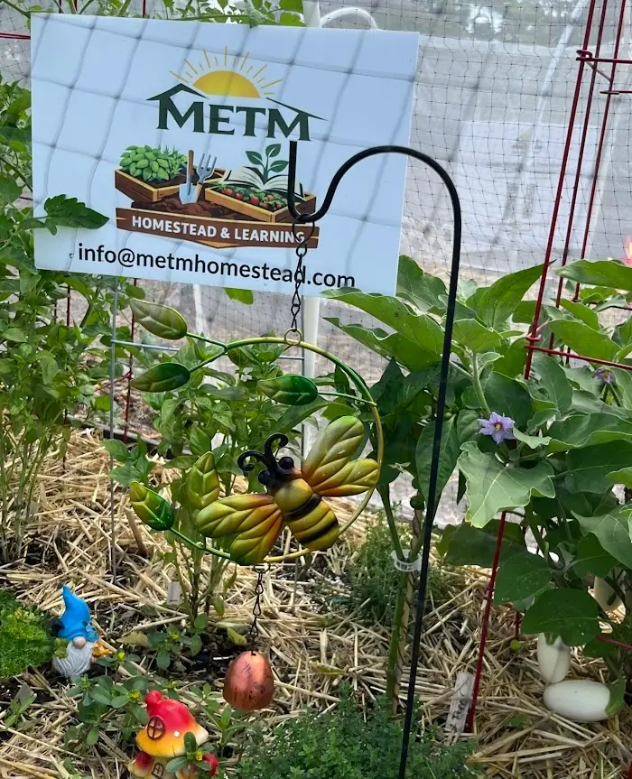 The MetM Homestead & Learning garden plot in South Florida, full of vegetables, herbs, and flowers