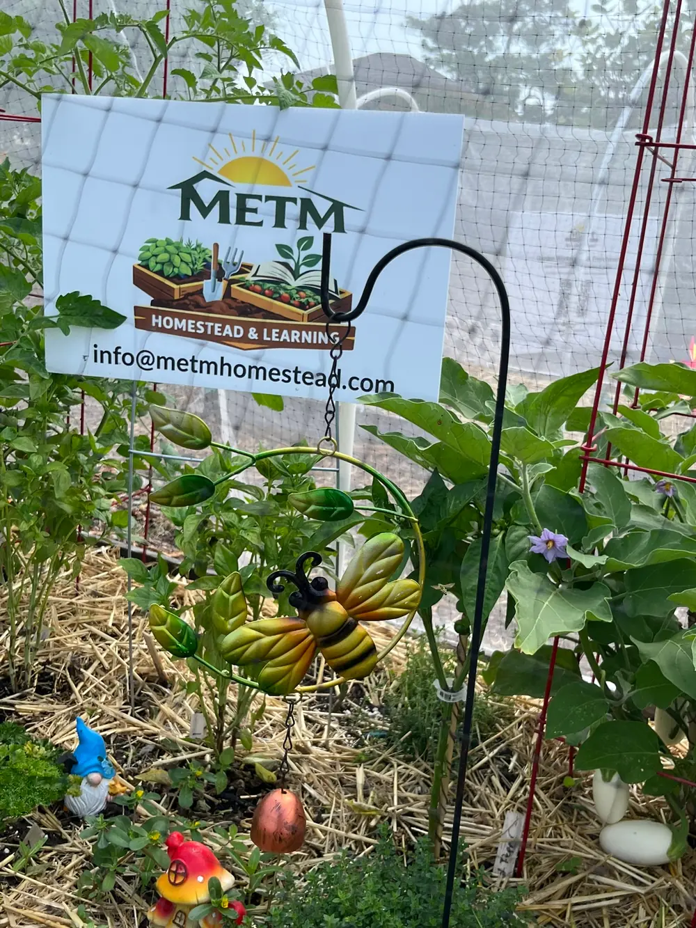 A MetM workshop demonstration table set up with soil, seeds, and take-home materials